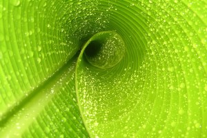 世界拳击退役运动员创业扶持项目第二轮结项名单公布