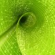 世界拳击退役运动员创业扶持项目第二轮结项名单公布
